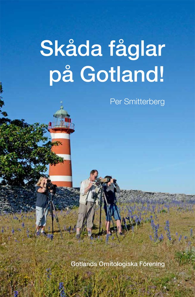 skada-faglar-pa-gotland-gofsmitterberg